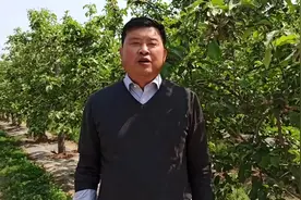 荒山变绿色银行，“二仙坡模式”撬动农业转型升级视频封面