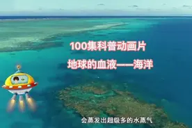 100集科普动画片——地球的血液 海洋 #地球知识科普