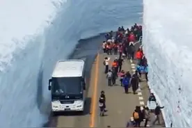 日本🇯🇵雪壁公路🛣，两边雪壁高20多米，世界奇观，位于日本富山县#记录你的惊喜之旅 #带着抖音看世界视频封面