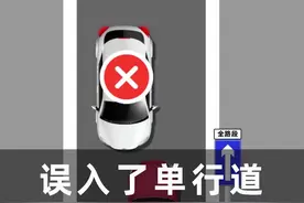误入了单行道怎么办？这样做就能挽回你的三分两百块！#交通安全 #汽车知识 #安全出行 #单行道视频封面