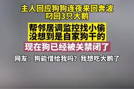 网友：狗能够借给我吗？主要是我也想吃大鹅了视频封面
