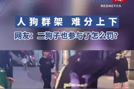 湖南长沙，街头发生一起混乱群架，撕扯头发，扒掉衣服。其中混入一只二狗子，帮着主人咬头“助力”，是想陪主人一起受处罚吗？视频封面