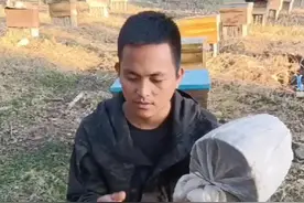 把没有收到蜂王的蜂群，用这种方法合并到家里有王蜂群里#我的乡村生活 #抖音助农 #上热门 视频封面