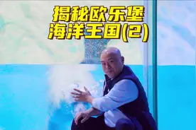 泉州欧乐堡海洋王国11月27日开业了，提前揭秘动物明星！#旅行视频封面