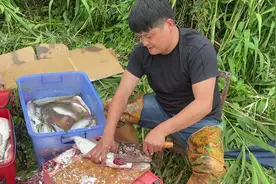 何以解忧，愿者上钩。易南不易北，生死看淡，换个地方接着干