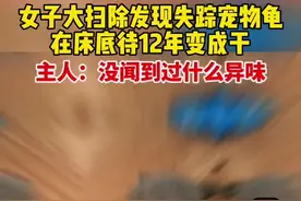 女子大扫除发现失踪宠物龟，在床底待12年变成干.视频封面