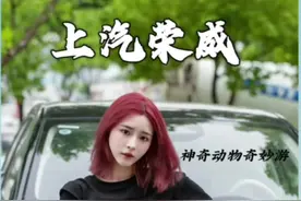 大湖名城 创新高地 一起感受一下科技之城的魅力吧#鲸#荣威龙猫#神奇动物奇妙游视频封面