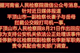 #河南 这次坑官员的不仅有妻子，还有丈母娘。#平顶山 一副检察长被停职。视频封面