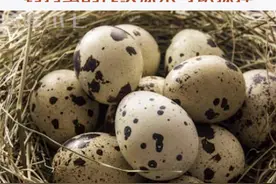 原来鹌鹑蛋的花纹是能擦掉的？？#鹌鹑蛋