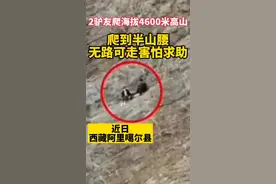 驴友爬海拔4600米高山，爬到半山腰无路可走，害怕求助。视频封面