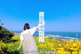 收好这份青岛赏花指南，春天带着TA去赏花吧～视频封面