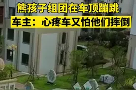 熊孩子组团在车顶蹦跳，车主：看见心疼车又怕他们摔下来！#贵州 #熊孩子视频封面