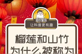 榴莲和山竹为什么被称为“夫妻果”？#知识青年 #科学知多少视频封面