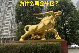成都现在的行政区划里面，金牛区很早就有了，这个金牛是怎么来的？#历史 #旅游 #城市记忆 #四川美好推荐官视频封面