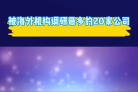 被海外机构调研最多的20家公司#投资 #财经 #股票 #金融视频封面
