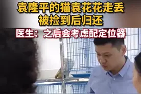 袁爷爷的猫袁花花走丢后被好心人捡到，目前已被安全接回家，医生表示之后会考虑配猫牌或定位器视频封面