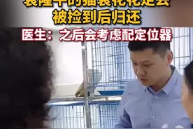 袁爷爷的猫袁花花走丢后被好心人捡到，目前已被安全接回家，医生表示之后会考虑配猫牌或定位器视频封面