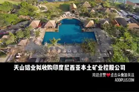 天山铝业拟收购印尼铝土矿项目公司不低于49%股权#投资并购视频封面