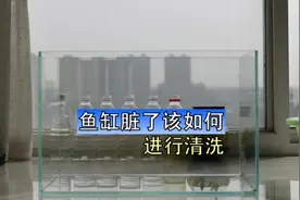 鱼缸用脏了千万别扔，像我这样清洗干净，差不多跟新的一样视频封面