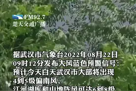 武汉市气象台2022年08月22日09时12分发布大风蓝色预警信号：预计今天白天武汉市大部将出现4到5级偏南风，江河湖库和山地阵风可达6到8级，请注意防范。#湖北dou知道 #安全第一视频封面