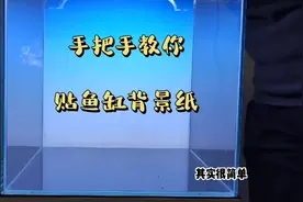 贴鱼缸背景纸的详细操作，你们学废了嘛！#养龟日常视频封面