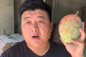 芒果收到如果还是硬的，有什么办法让它迅速变熟？#凯特芒果