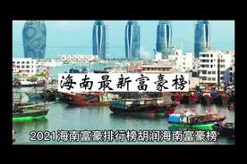 海南最新富豪榜，海口首富#海南 #海口 #富豪 #财富 #胡润榜