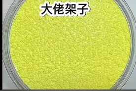 什么是大佬架子？🤩视频封面