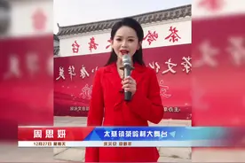 太慈镇茶岭村 村如其名视频封面