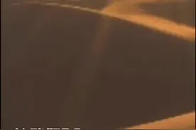 奇异的沙漠植物，你见过几种？（中科院新疆生地所）#抖进科学视频封面