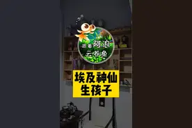 喜欢原泰金鱼和埃及神仙的朋友看这里哦 👉@名湖金鱼 #埃及神仙鱼 #埃及神仙鱼繁殖 #原泰金鱼 视频封面