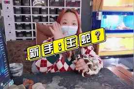 适合新手饲养的蛇:王蛇。 #武汉爬宠 #大东门花鸟市场 #宠物蛇