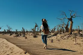 这就是我为什么喜欢拍照的原因？你呢？你和我一样吗？
