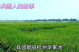 #讲兵团人的故事 —让我为你讲述浙江生产建设兵团视频封面