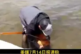 美媒7月14日报道称，明尼苏达州野外一个湖泊发现足球大小的金鱼。当局官员提醒民众，不要随意放生宠物金鱼。视频封面