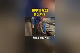 急！被甲鱼亲到怎么办？#甲鱼#生活小妙招@抖音短视频 @抖音三农