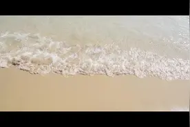 #青岛黄海学院视频封面