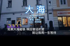大海 伴奏 #与我合拍
