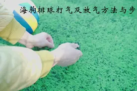海驹排球充气及放气方法如下：#抖音小助手 #排球