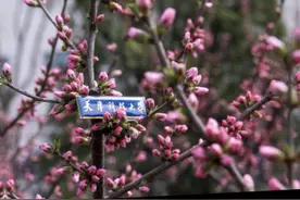 今天是#春分 来听听春天的校园对你的呢喃吧~视频封面