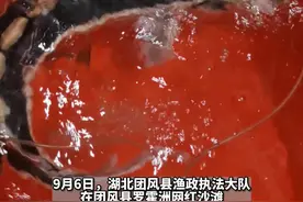 被宣告“野外灭绝”的大鱼在湖北团风被发现！专家：为国家一级保护动物长江鲟，是人工放流还是野外种群有待进一步研究视频封面