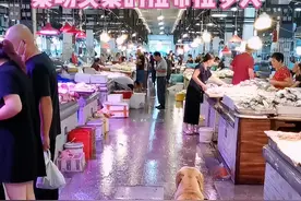 你们喜欢这种会帮主人提篮子逛菜场买菜的拉布拉多犬吗？#抖音动物图鉴 #拉布拉多 #狗是人类最忠诚的朋友 视频封面