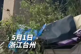 90岁白发奶奶徒手上树，被家人批评后不好意思笑了。#关爱老人视频封面