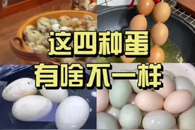 你知道这四种禽蛋的营养区别？孩子的成长想要蛋类中的哪些营养#亲子教育 #育儿 #儿童营养@DOU+小助手