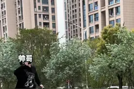 所以说养哈士奇的人体力都很好#哈士奇 #抖音动物图鉴 #二哈视频封面