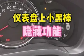 仪表盘上的小黑棒有什么隐藏功能呢？#懂车小知识 @抖音短视频 @抖音汽车视频封面