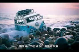 @lwhz .相信自己的坚强，但不要拒绝眼泪；相信物质的美好视频封面