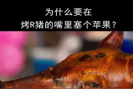 为什么要在烤R猪的嘴里塞个苹果？#美食 #涨知识 #猪 
