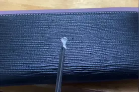 #爬宠 #爬行动物 #异宠 肥尾守宫扭尾巴太可爱了，爱了爱了视频封面