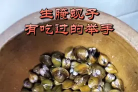 生腌蚬子，有吃过的举手！#古早味 #生活不易 #家常小菜 #壹号厨娘 #洛璃虎纠话 #美食分享 